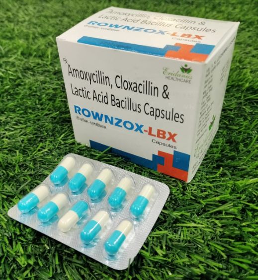 Amoxycillin, Cloxacillin & Lactic Acid Bacillus Capsules